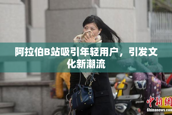 阿拉伯B站吸引年轻用户，引发文化新潮流