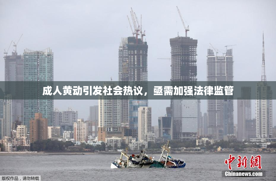 成人黄动引发社会热议，亟需加强法律监管