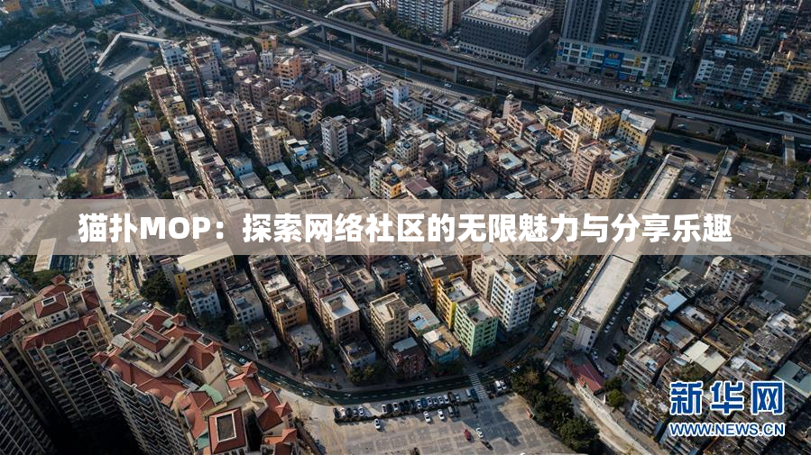 猫扑MOP：探索网络社区的无限魅力与分享乐趣