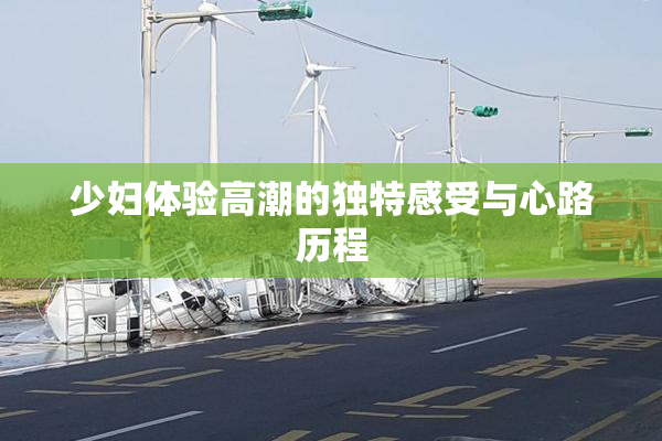 少妇体验高潮的独特感受与心路历程