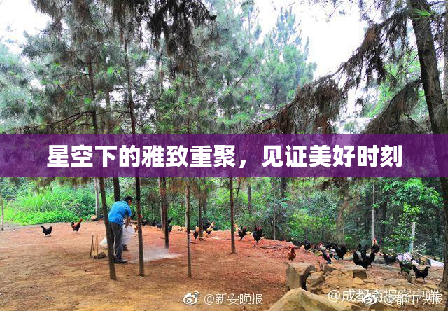 星空下的雅致重聚，见证美好时刻