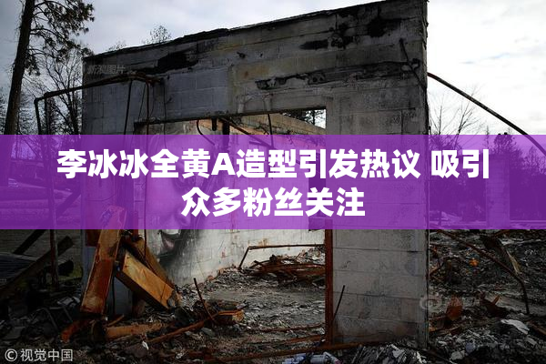 李冰冰全黄A造型引发热议 吸引众多粉丝关注