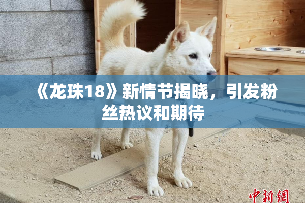 《龙珠18》新情节揭晓，引发粉丝热议和期待
