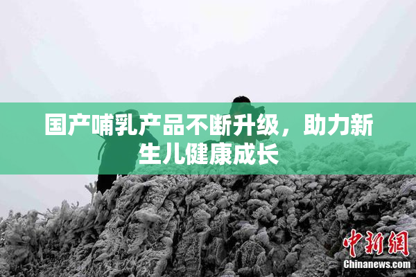 国产哺乳产品不断升级，助力新生儿健康成长
