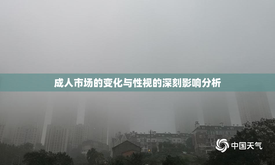 成人市场的变化与性视的深刻影响分析