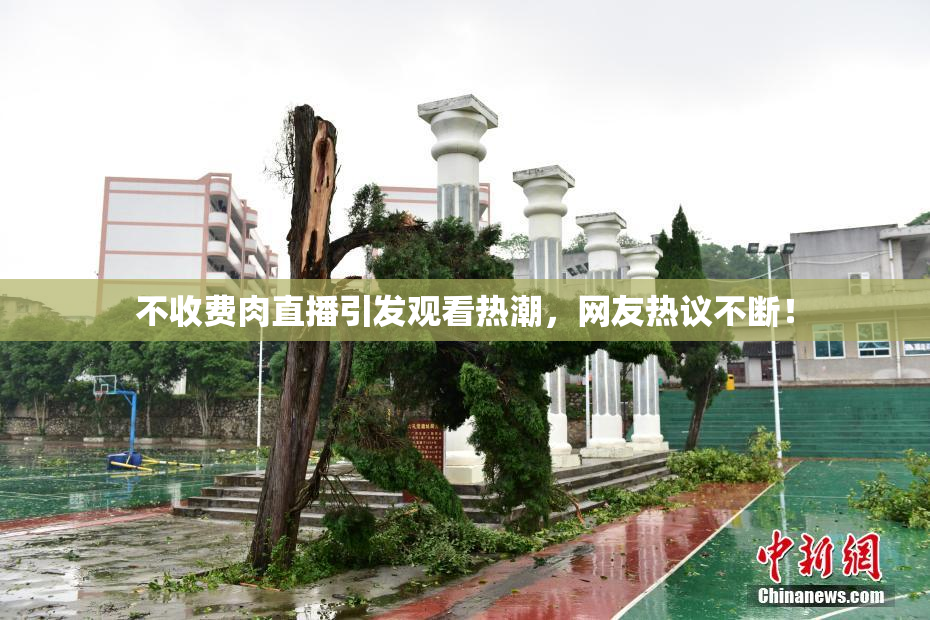 不收费肉直播引发观看热潮，网友热议不断！