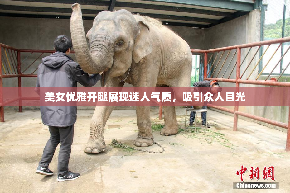 美女优雅开腿展现迷人气质，吸引众人目光