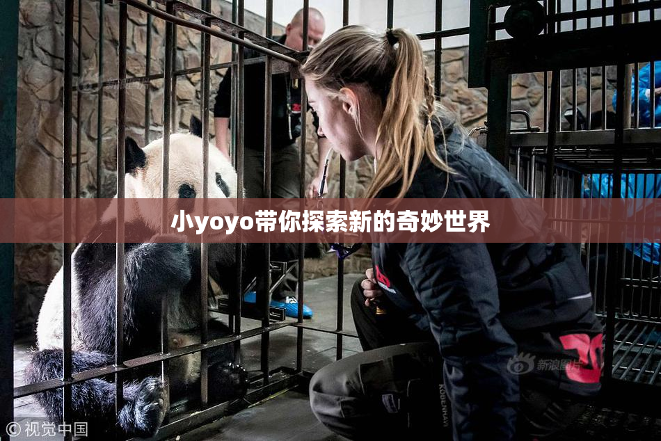 小yoyo带你探索新的奇妙世界