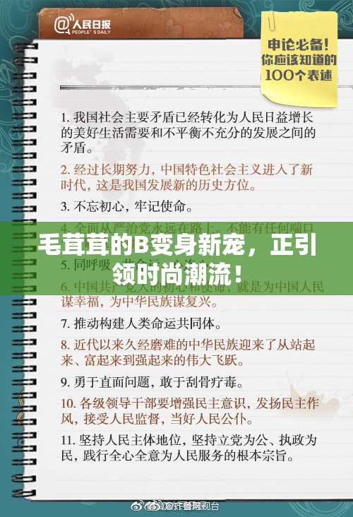 毛茸茸的B变身新宠，正引领时尚潮流！