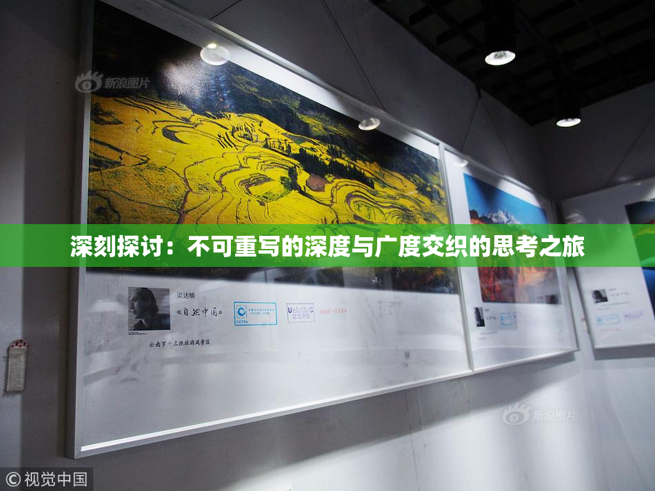 深刻探讨：不可重写的深度与广度交织的思考之旅