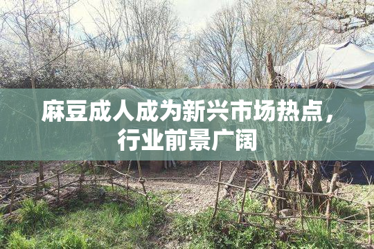 麻豆成人成为新兴市场热点，行业前景广阔
