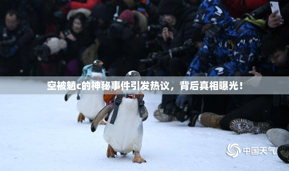 空被魈c的神秘事件引发热议，背后真相曝光！