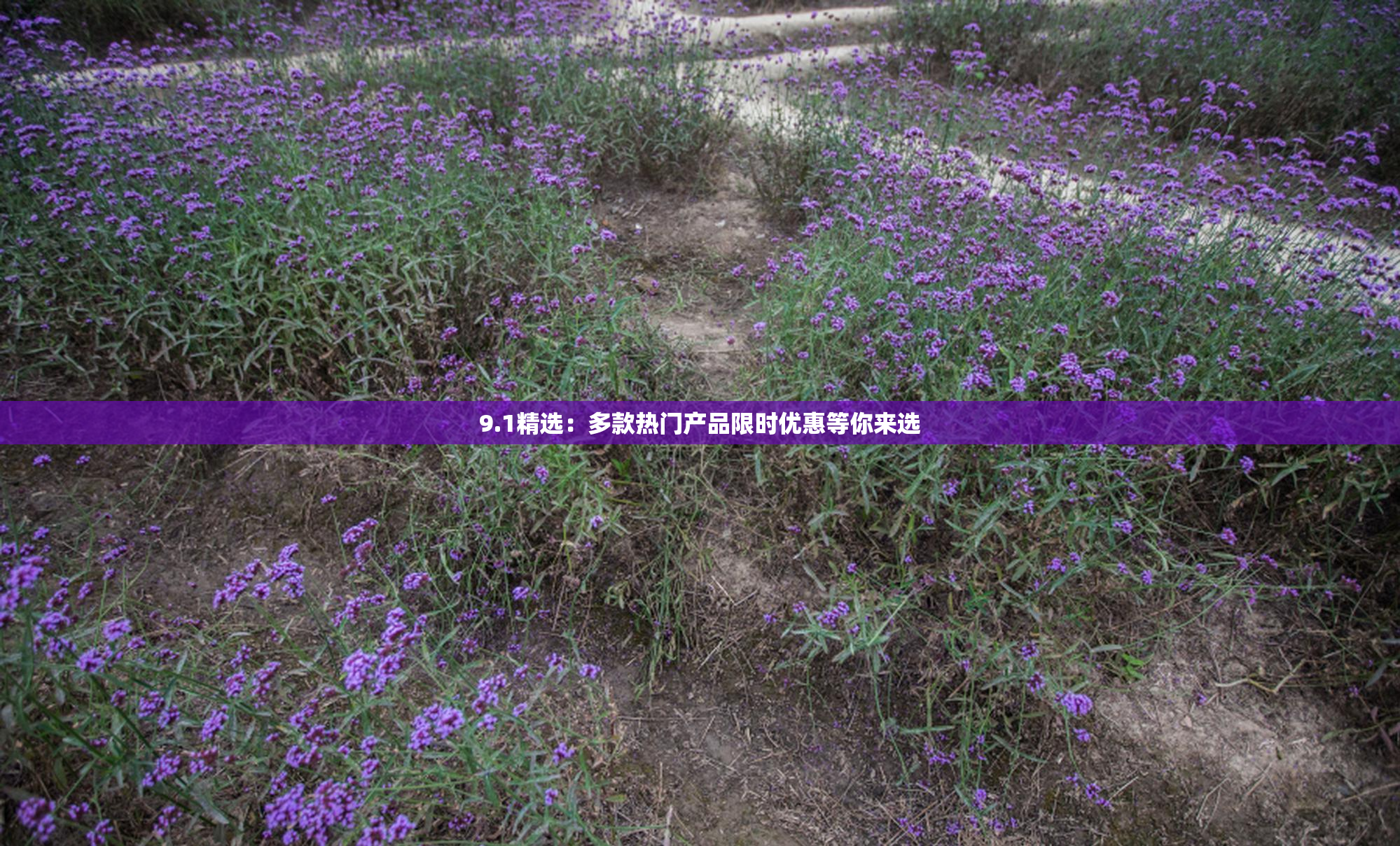9.1精选：多款热门产品限时优惠等你来选