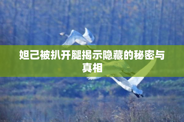妲己被扒开腿揭示隐藏的秘密与真相