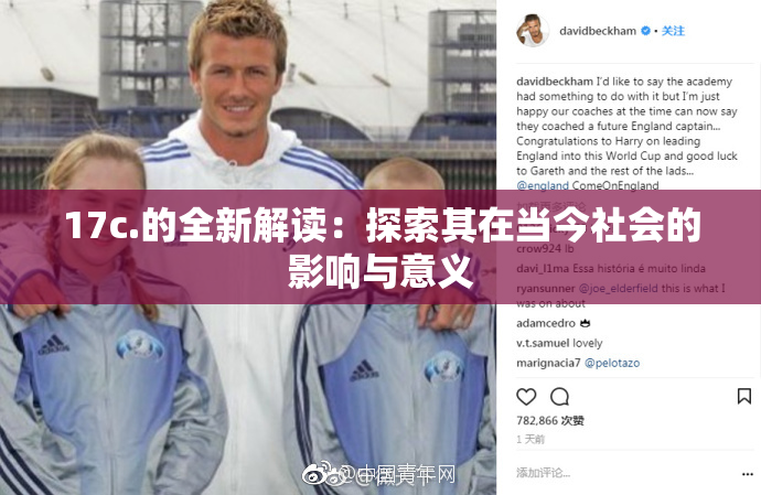 17c.的全新解读：探索其在当今社会的影响与意义