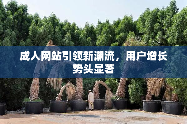 成人网站引领新潮流，用户增长势头显著