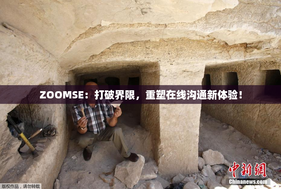 ZOOMSE：打破界限，重塑在线沟通新体验！