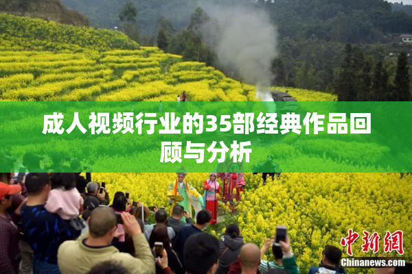 成人视频行业的35部经典作品回顾与分析