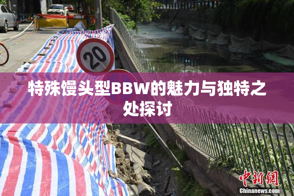 特殊馒头型BBW的魅力与独特之处探讨