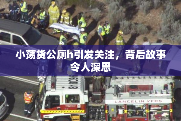 小荡货公厕h引发关注，背后故事令人深思