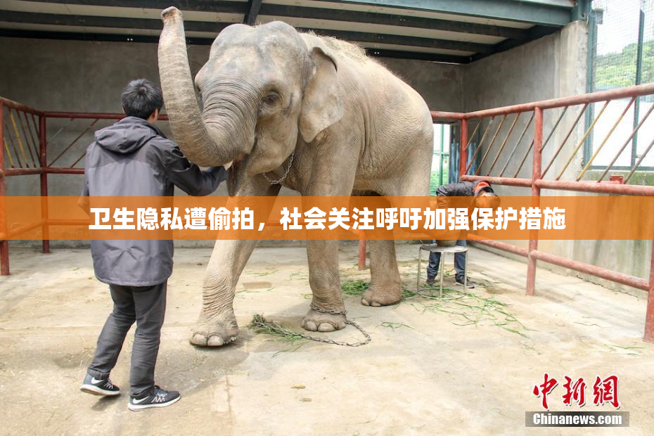 卫生隐私遭偷拍，社会关注呼吁加强保护措施