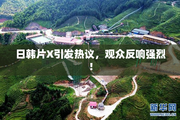日韩片X引发热议，观众反响强烈！