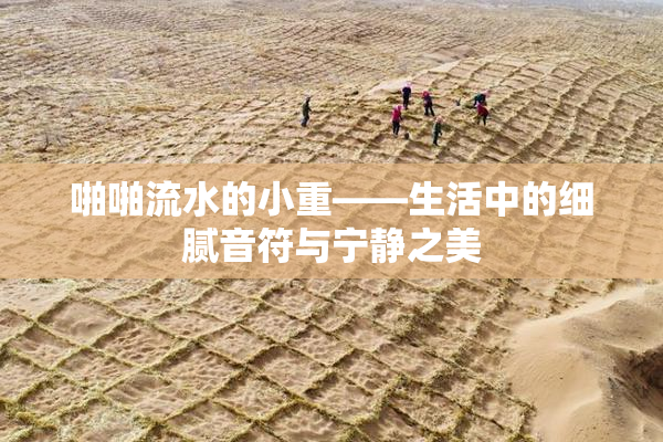 啪啪流水的小重——生活中的细腻音符与宁静之美