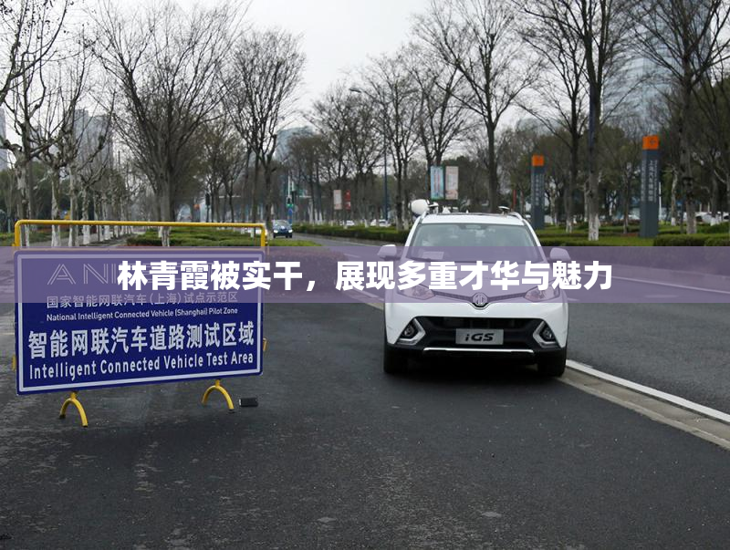 林青霞被实干，展现多重才华与魅力