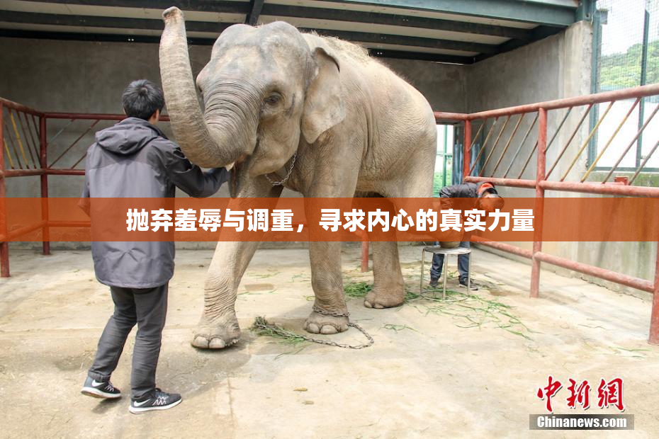 抛弃羞辱与调重，寻求内心的真实力量
