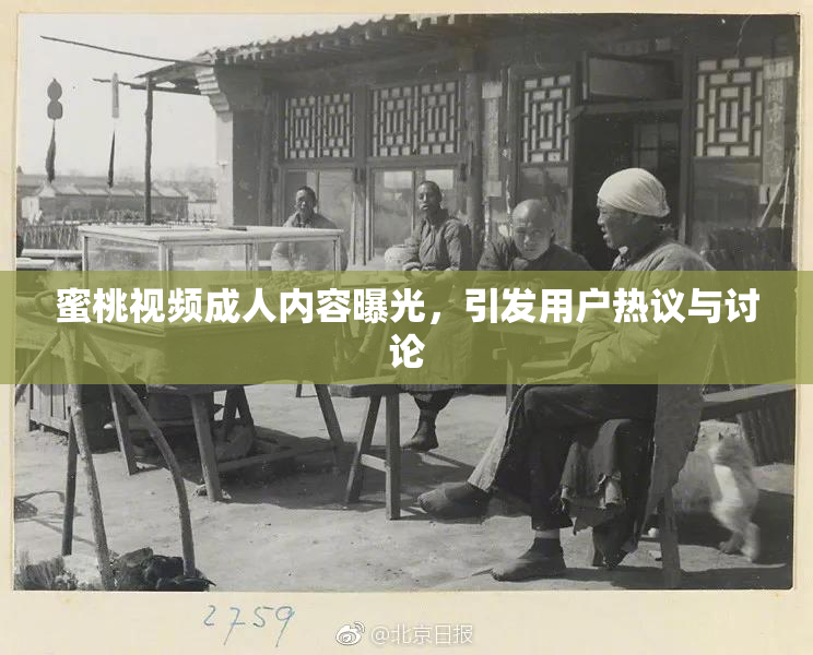 蜜桃视频成人内容曝光，引发用户热议与讨论