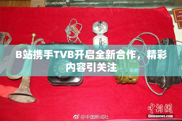 B站携手TVB开启全新合作，精彩内容引关注