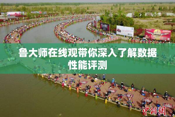 鲁大师在线观带你深入了解数据性能评测