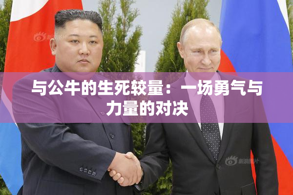 与公牛的生死较量：一场勇气与力量的对决
