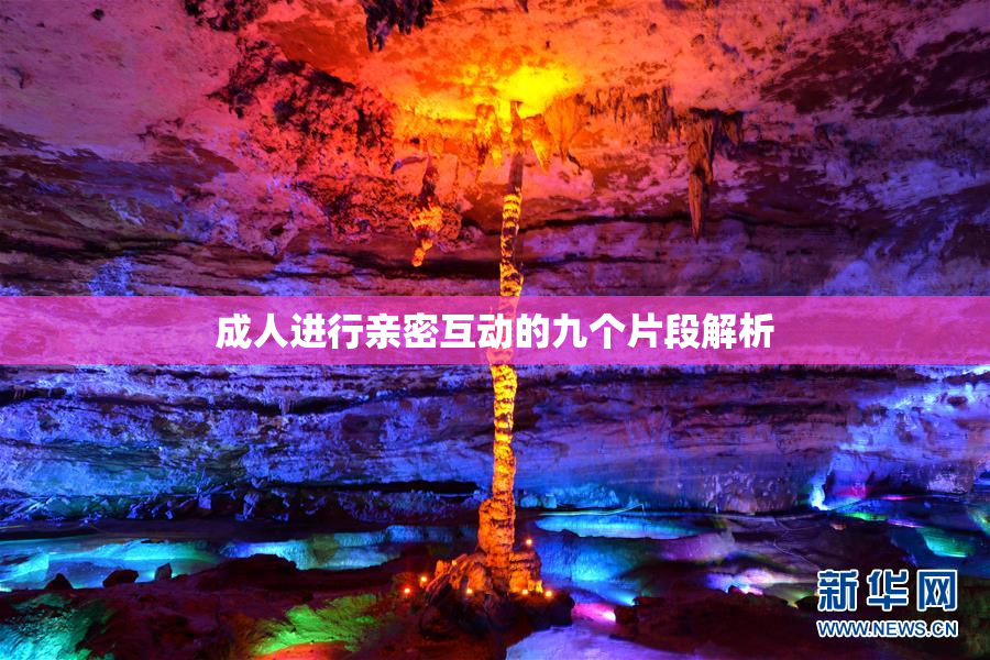 成人进行亲密互动的九个片段解析
