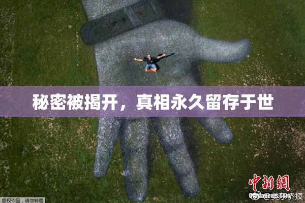 秘密被揭开，真相永久留存于世