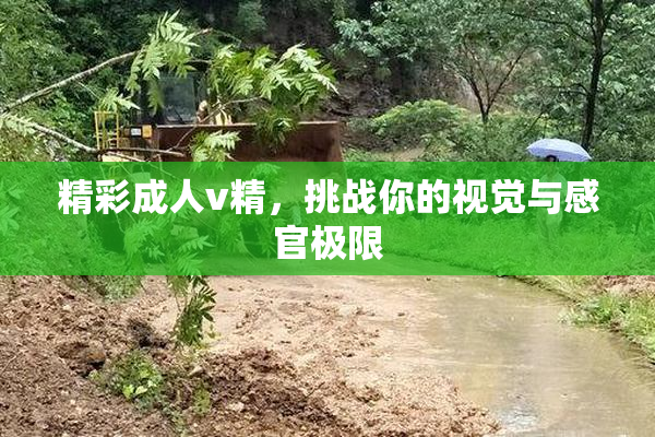 精彩成人v精，挑战你的视觉与感官极限
