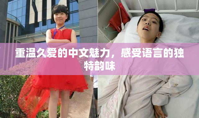 重温久爱的中文魅力，感受语言的独特韵味