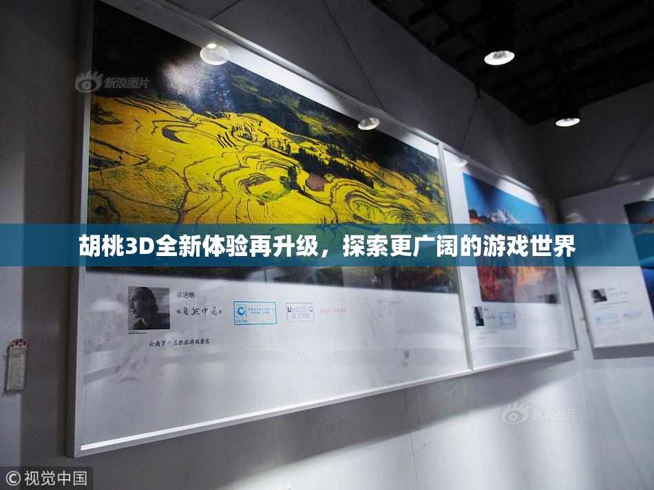 胡桃3D全新体验再升级，探索更广阔的游戏世界