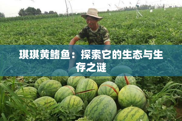 琪琪黄鳍鱼：探索它的生态与生存之谜