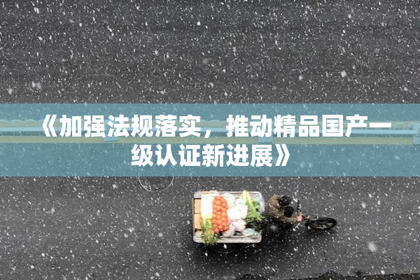《加强法规落实，推动精品国产一级认证新进展》
