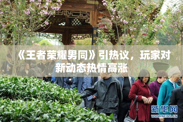 《王者荣耀男同》引热议，玩家对新动态热情高涨