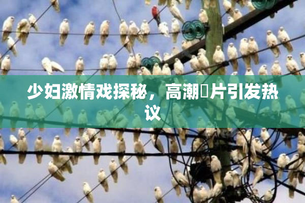 少妇激情戏探秘，高潮婬片引发热议
