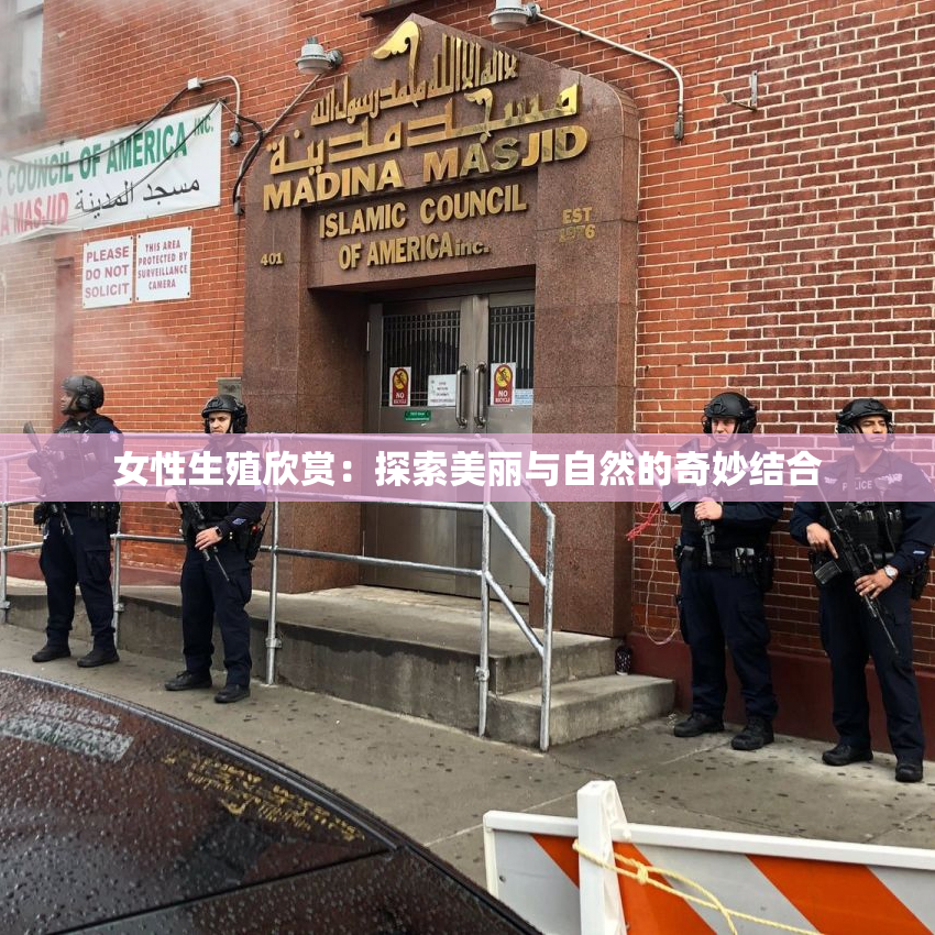 女性生殖欣赏：探索美丽与自然的奇妙结合