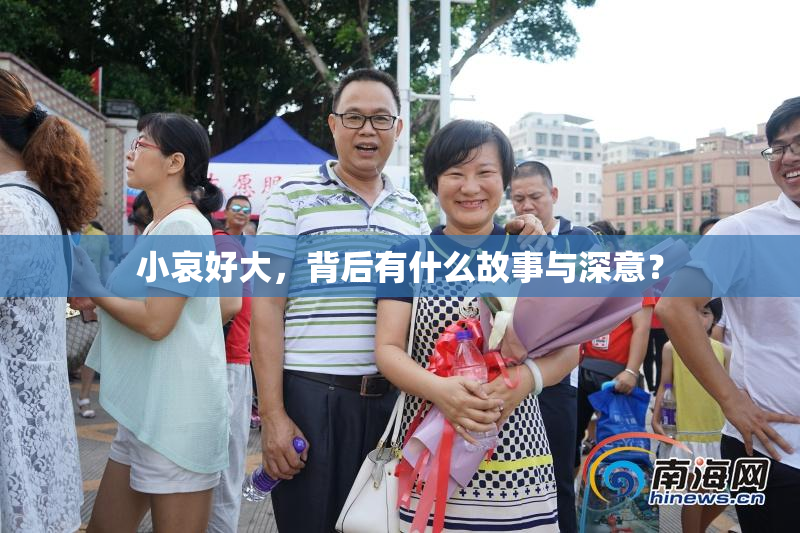 小哀好大，背后有什么故事与深意？