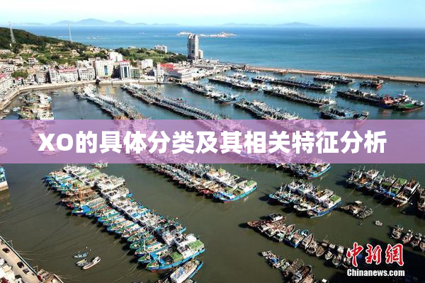 XO的具体分类及其相关特征分析