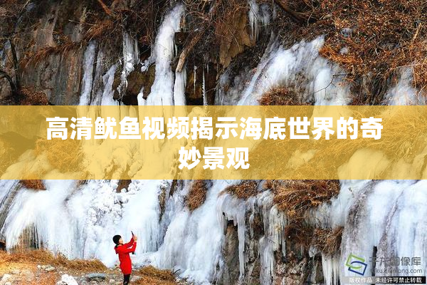 高清鱿鱼视频揭示海底世界的奇妙景观