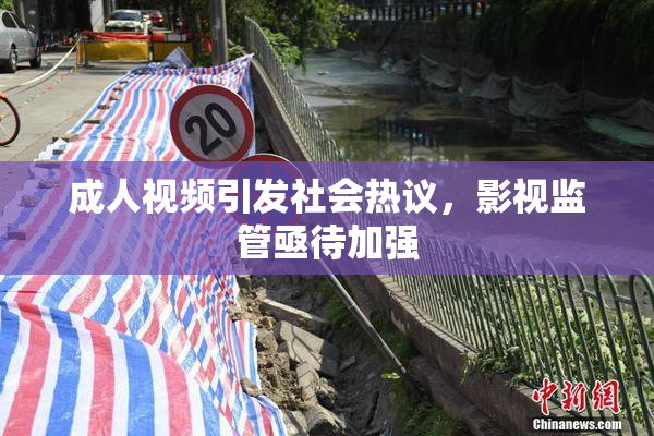 成人视频引发社会热议，影视监管亟待加强