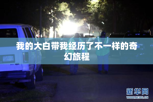我的大白带我经历了不一样的奇幻旅程
