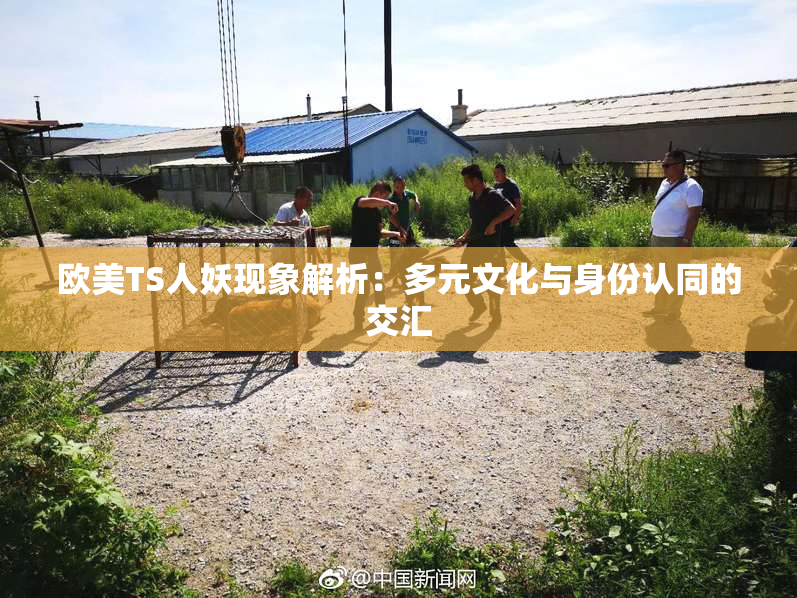 欧美TS人妖现象解析：多元文化与身份认同的交汇