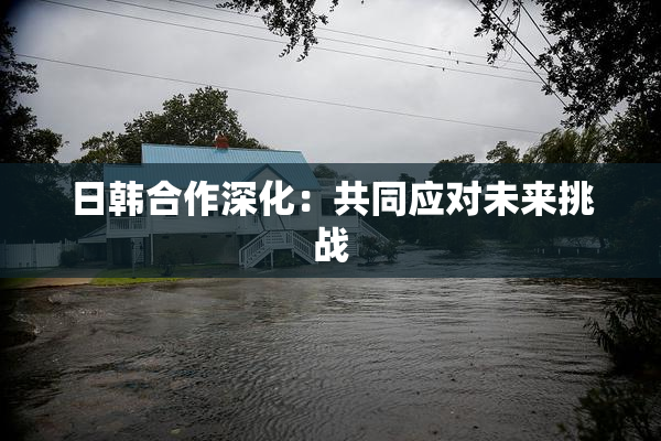 日韩合作深化：共同应对未来挑战